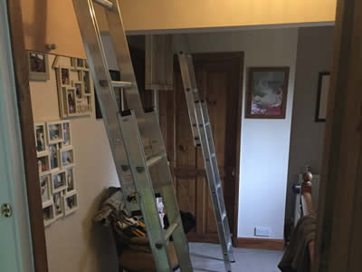 Multiple loft ladders